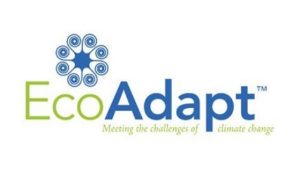 EcoAdapt motor monitoring data integration for energis.cloud.
